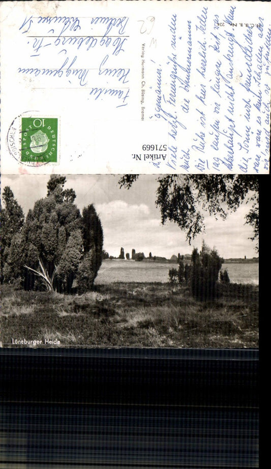 571669,Lüneburger Heide b. Lüneburg Landschaft