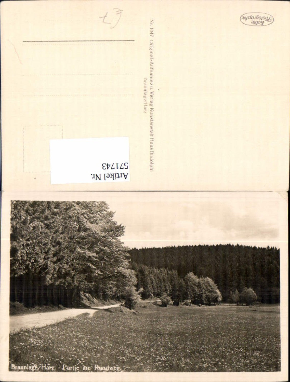 571743,Foto Ak Braunlage Harz Partie am Rundweg