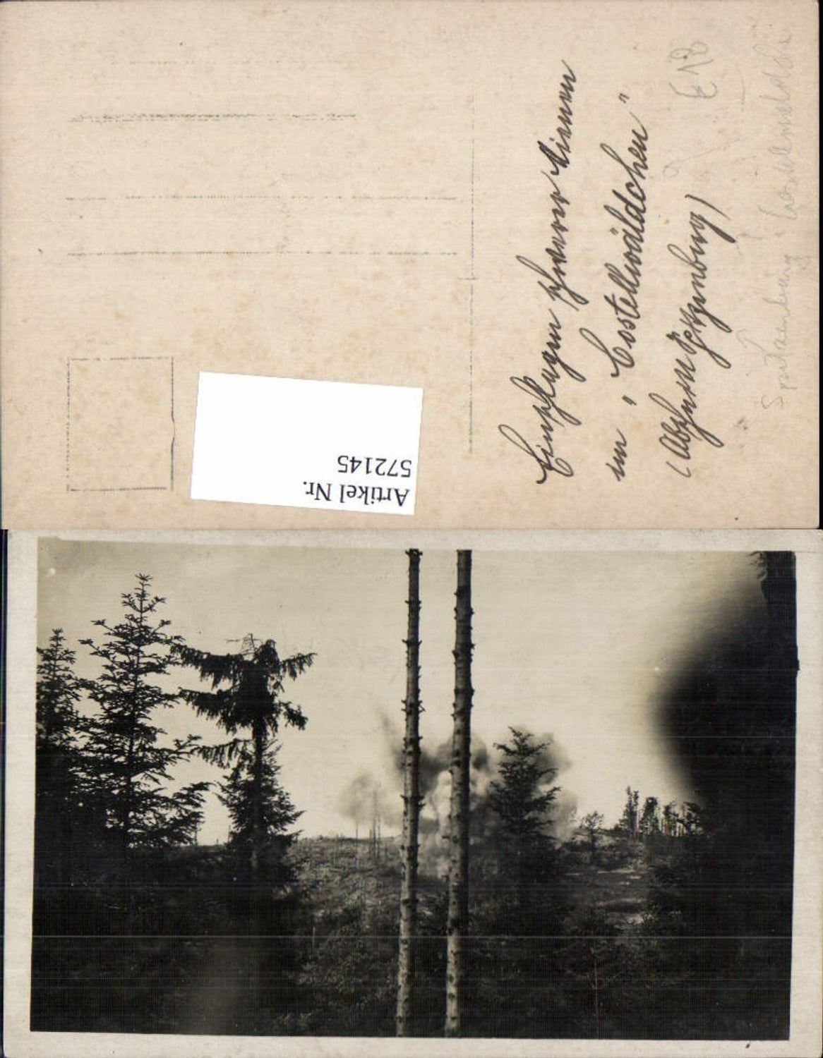 572145,Foto Ak Spitzenberg Castellwäldchen Brand Wald Waldbrand Nürnberg