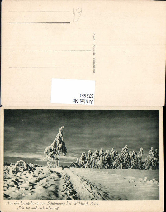 572651, Winter view near Schömberg near Wildbad, Black Forest