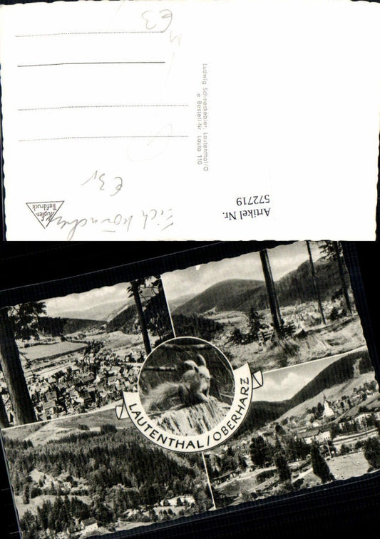 572719,Mehrbild Ak Lautenthal Oberharz Langelsheim Eichkätzchen Eichhörnchen