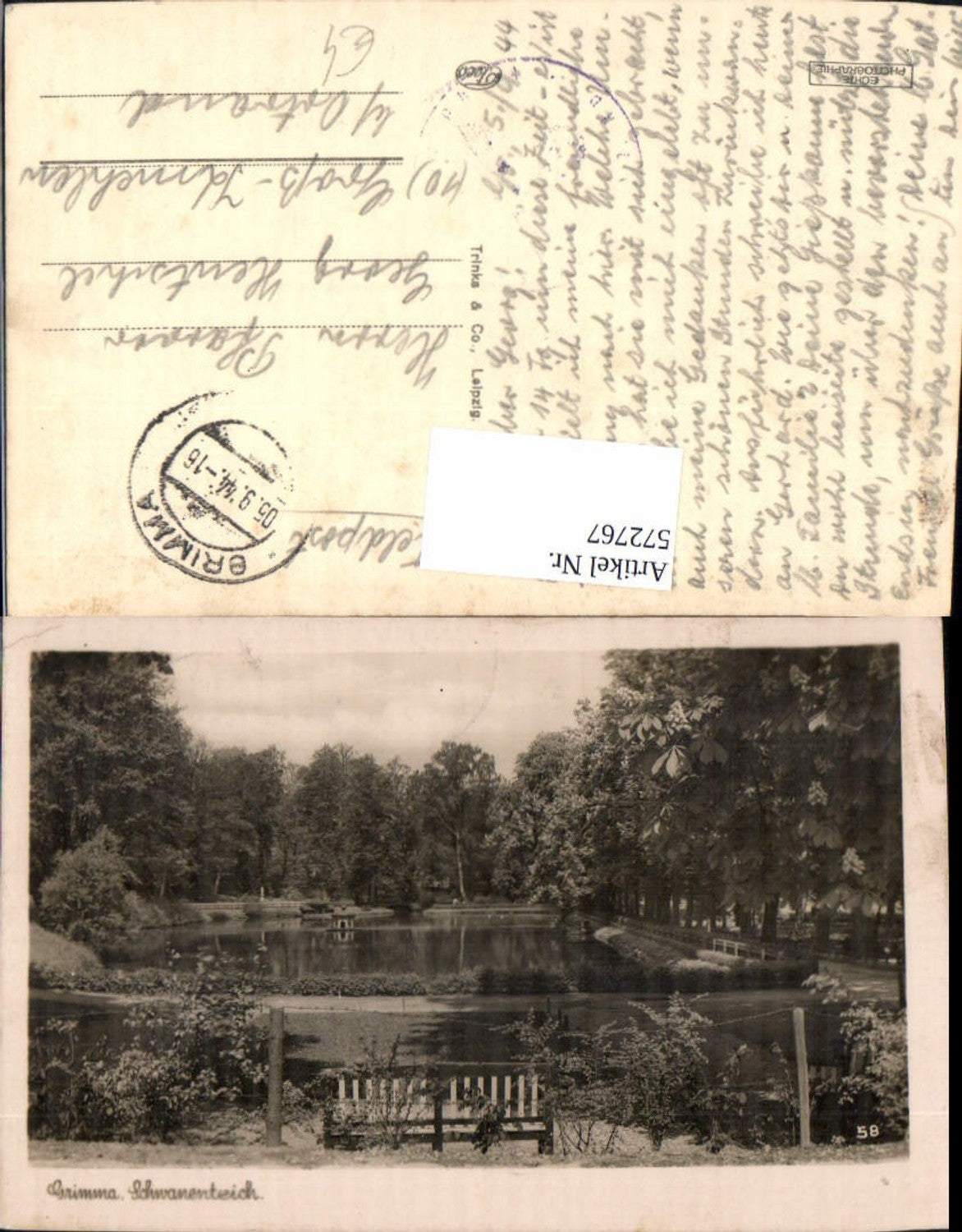 572767,Foto Ak Grimma Schwanenteich