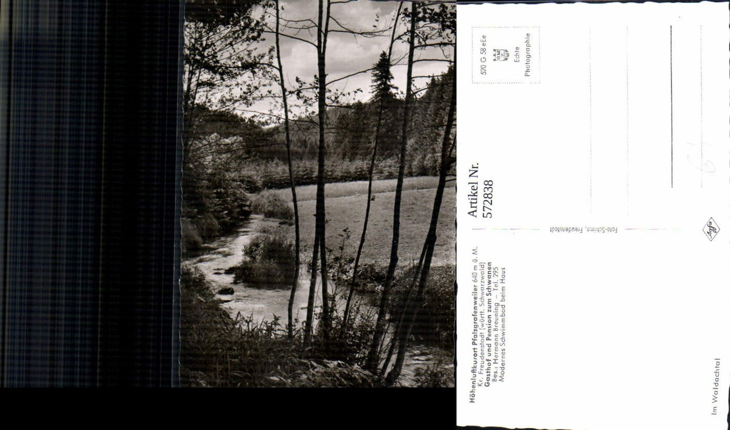 572838,Foto Ak Pfalzgrafenweiler Landschaft