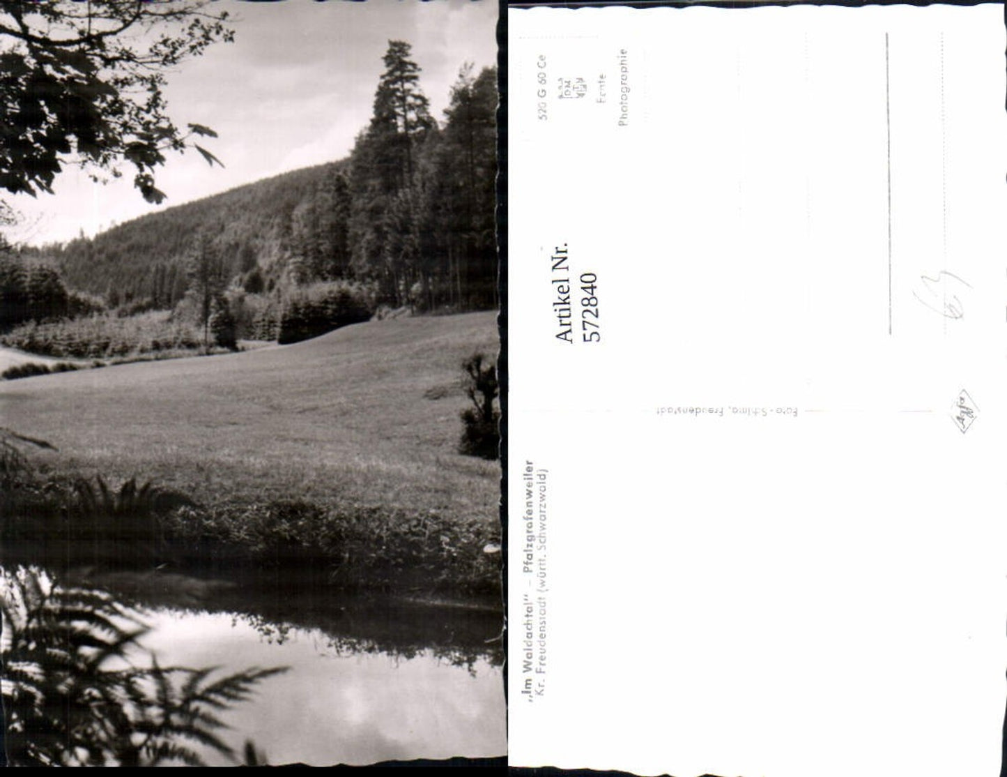 572840,Foto Ak Pfalzgrafenweiler Im Waldachtal