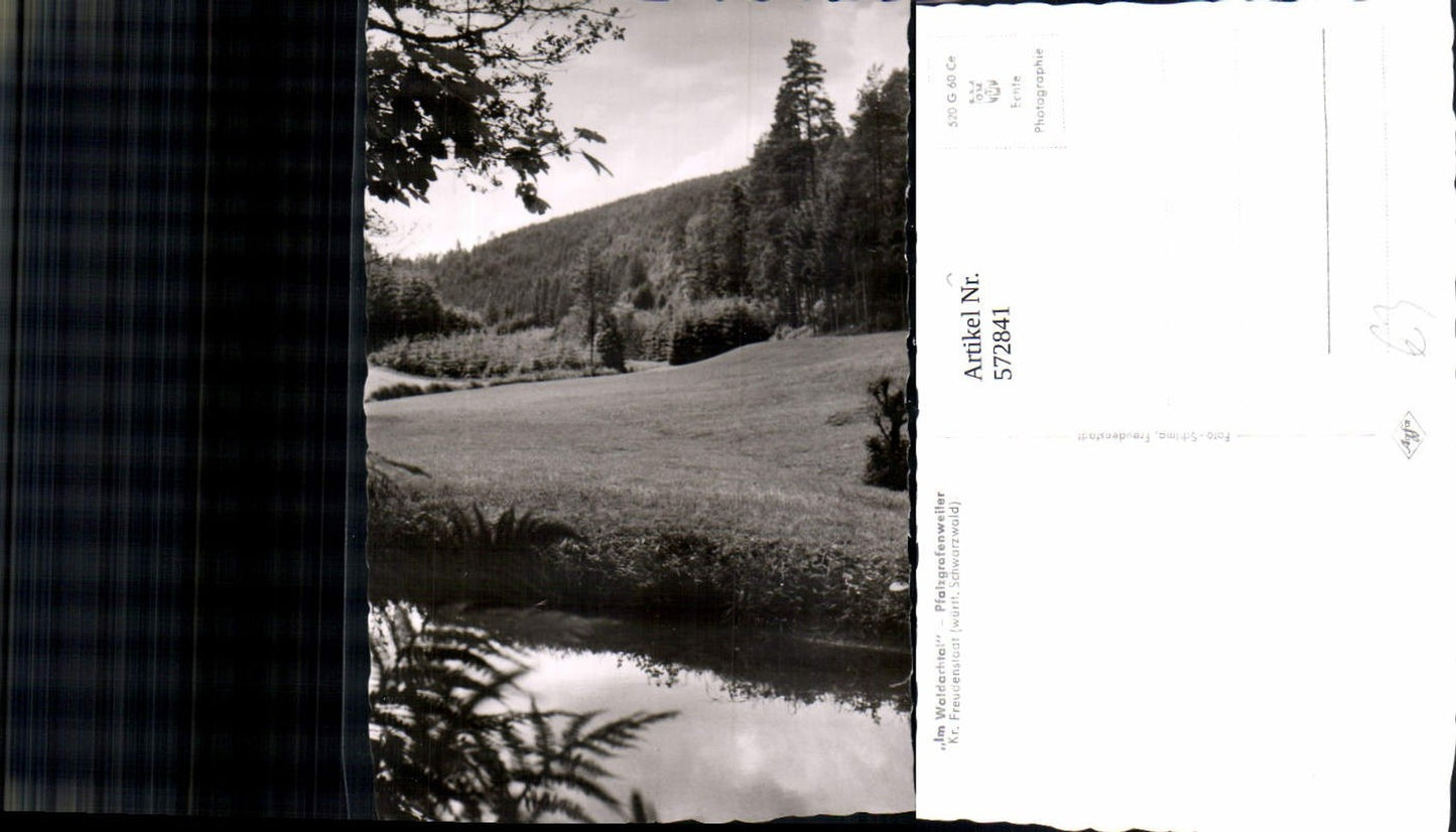 572841,Foto Ak Pfalzgrafenweiler Im Waldachtal