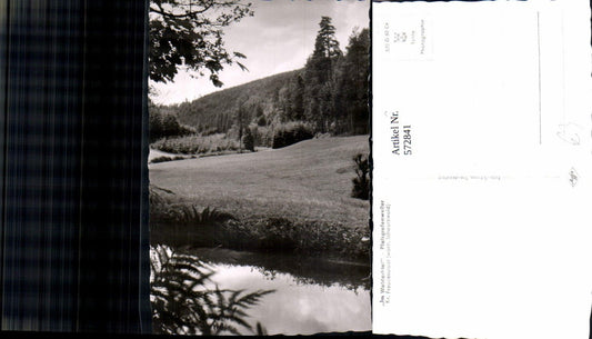 572841, Photo Ak Pfalzgrafenweiler Im Waldachtal