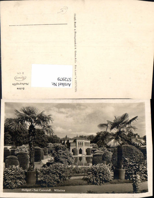 572979, Photo Ak Stuttgart Bad Cannstatt Wilhelma Park Palms