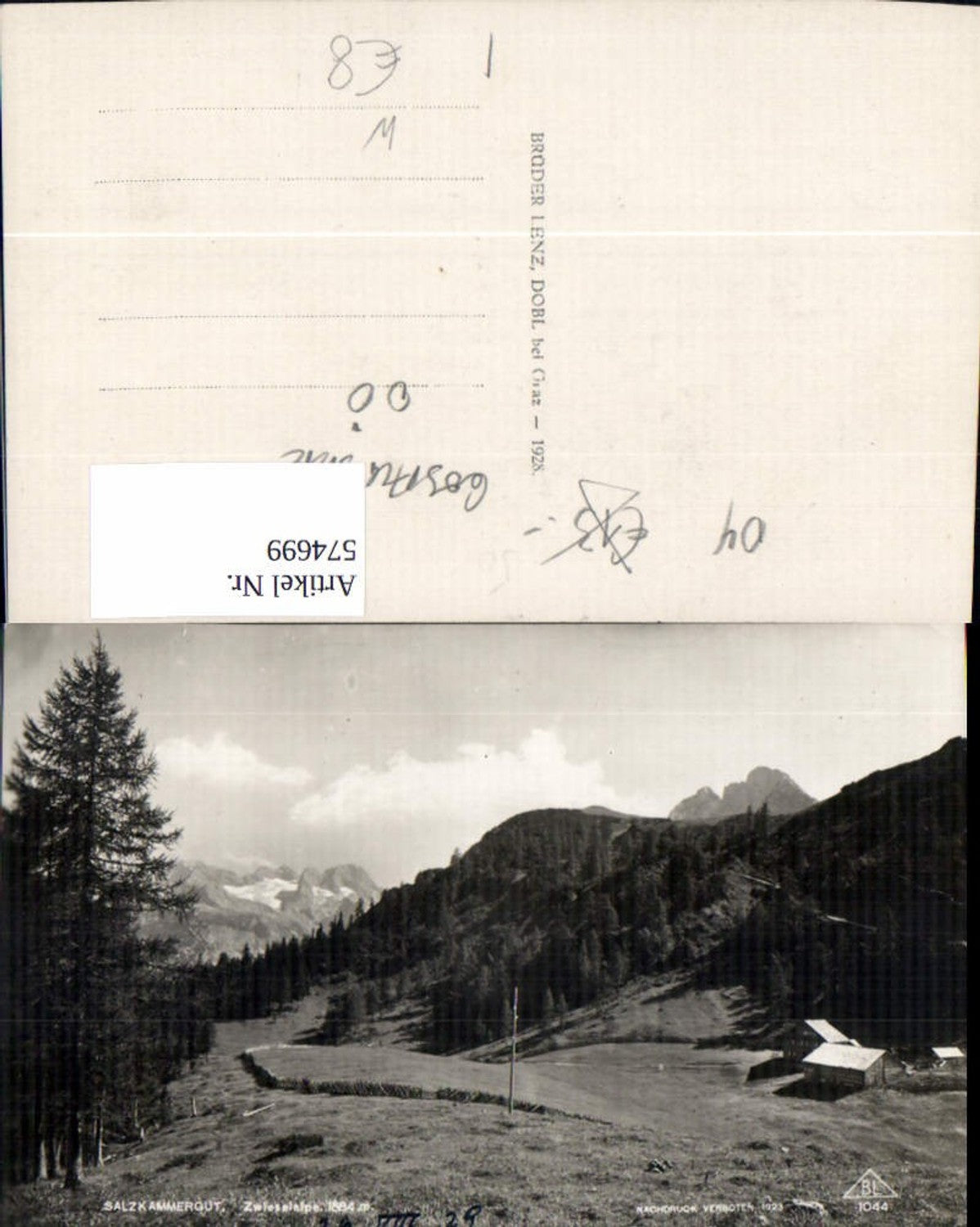 574699,Foto Ak Zwieselalpe Zwieselalm Gosau