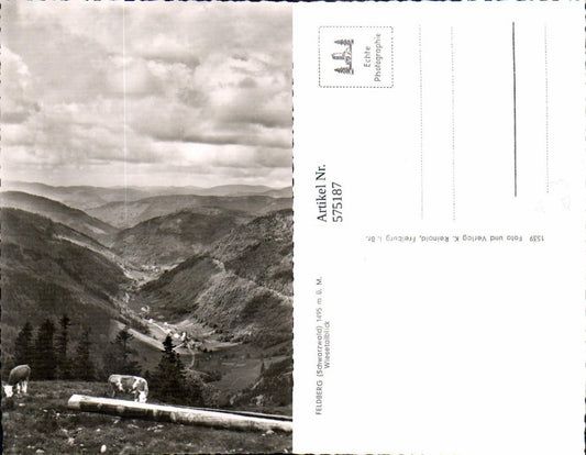575187, Photo Ak Feldberg Black Forest Wiesetal view Schopfheim cows cattle