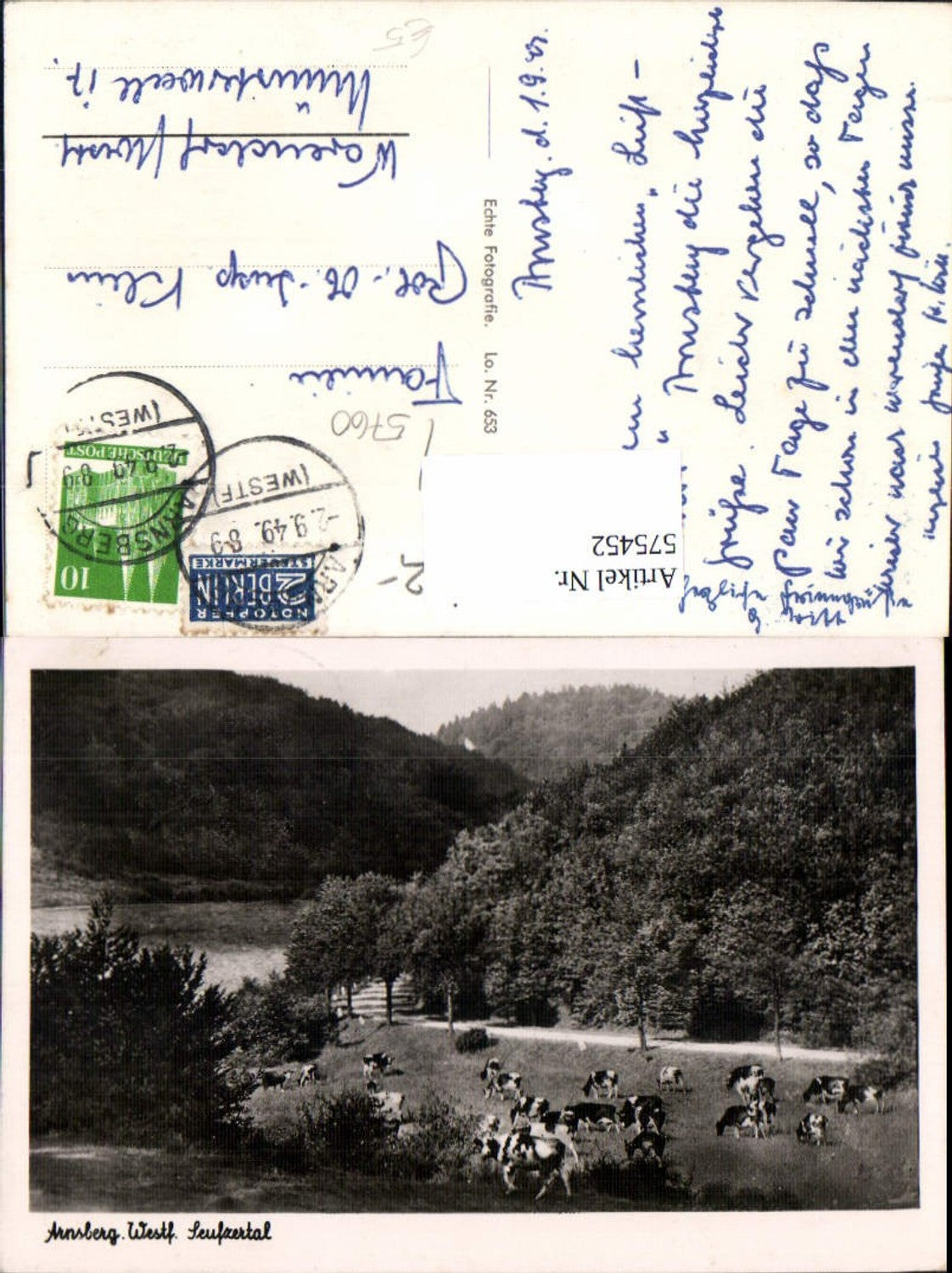 575452,Arnsberg Motiv Seufzertal Kühe Rinder