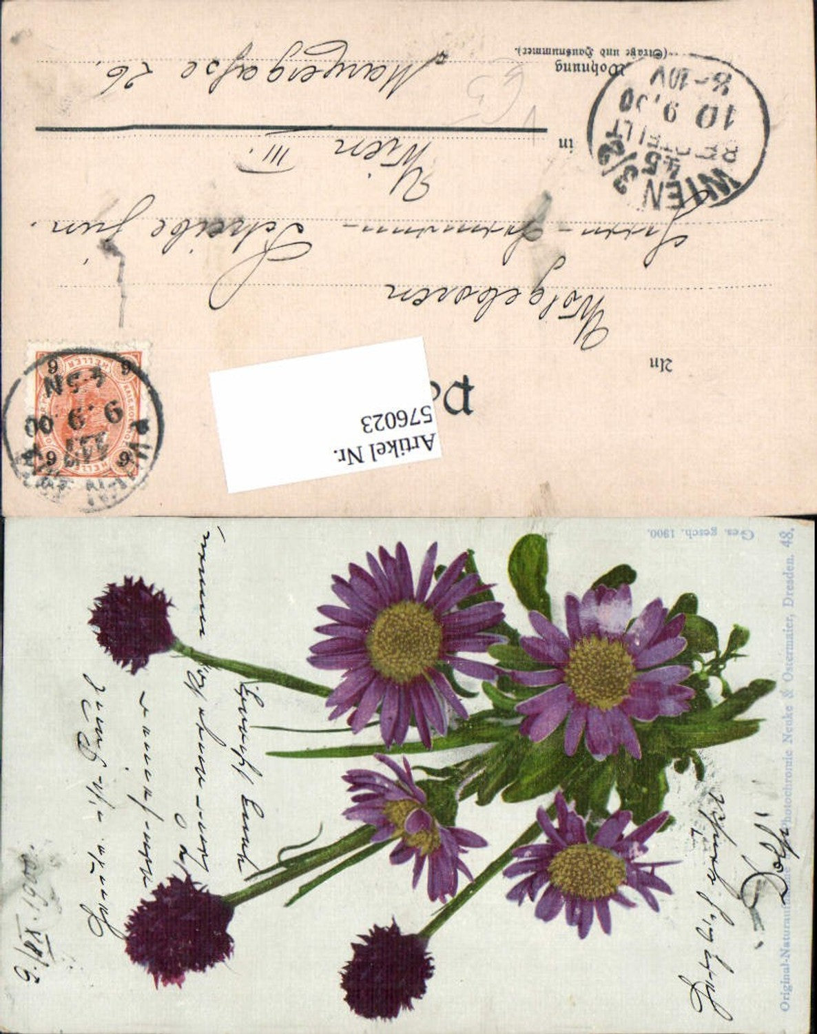 576023,Künstler AK Photochromie Ostermaier & Nenke 48 Blumen