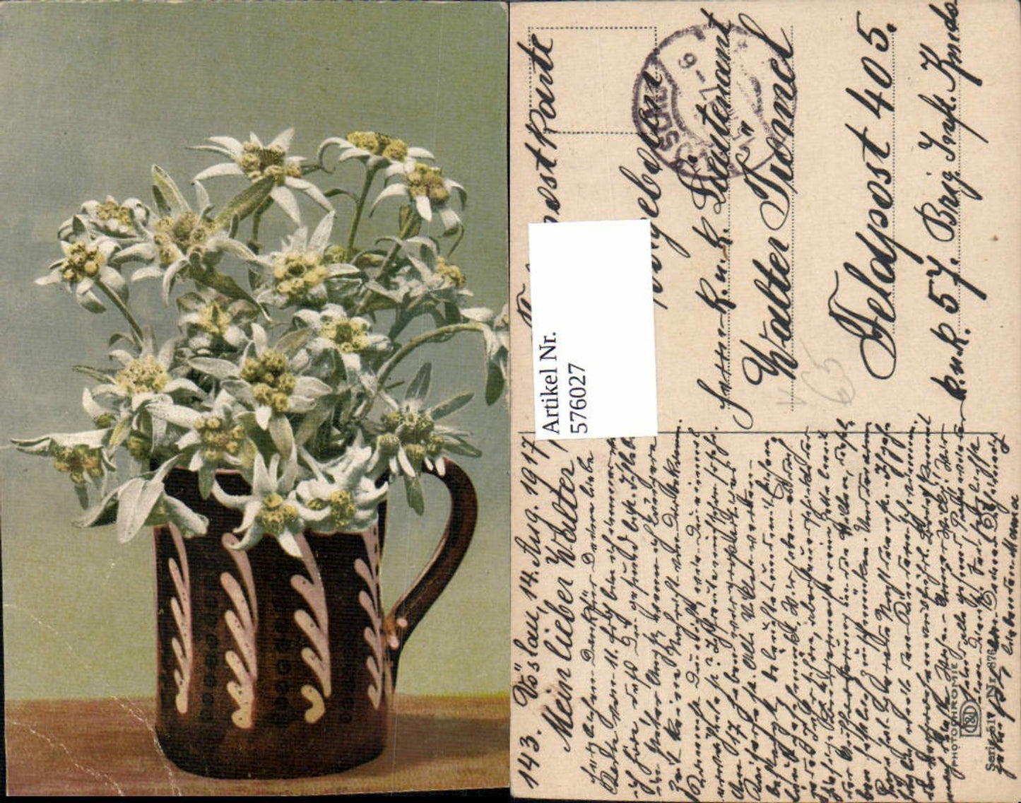 576027,Künstler AK Photochromie Ostermaier & Nenke 517-876 Edelweiss