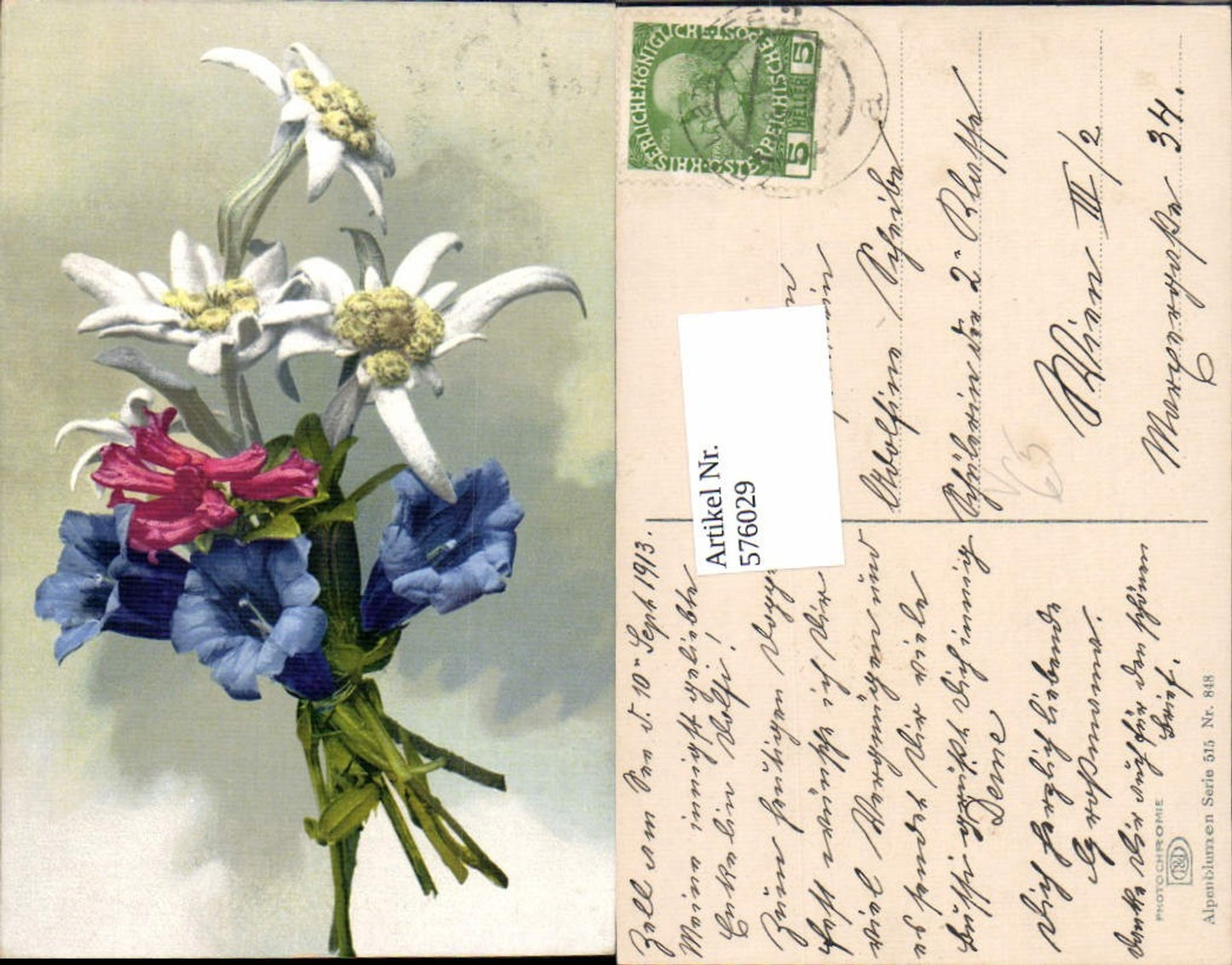 576029,Künstler AK Photochromie Ostermaier & Nenke 515-848 Edelweiss