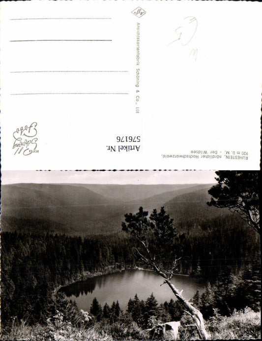 576176, Photo Ak Baiersbronn Ruhestein Wildsee
