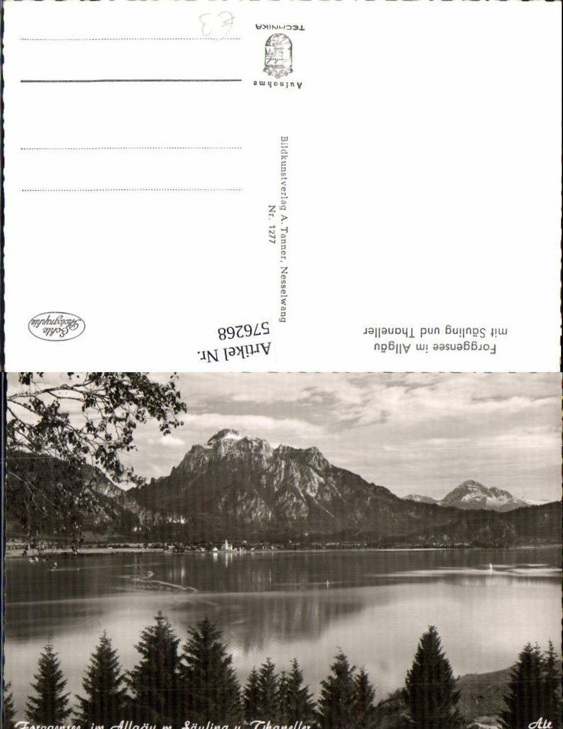 576268,Photo Ak Schwangau Forggensee i. Allgäu m. Säuling and Thaneller
