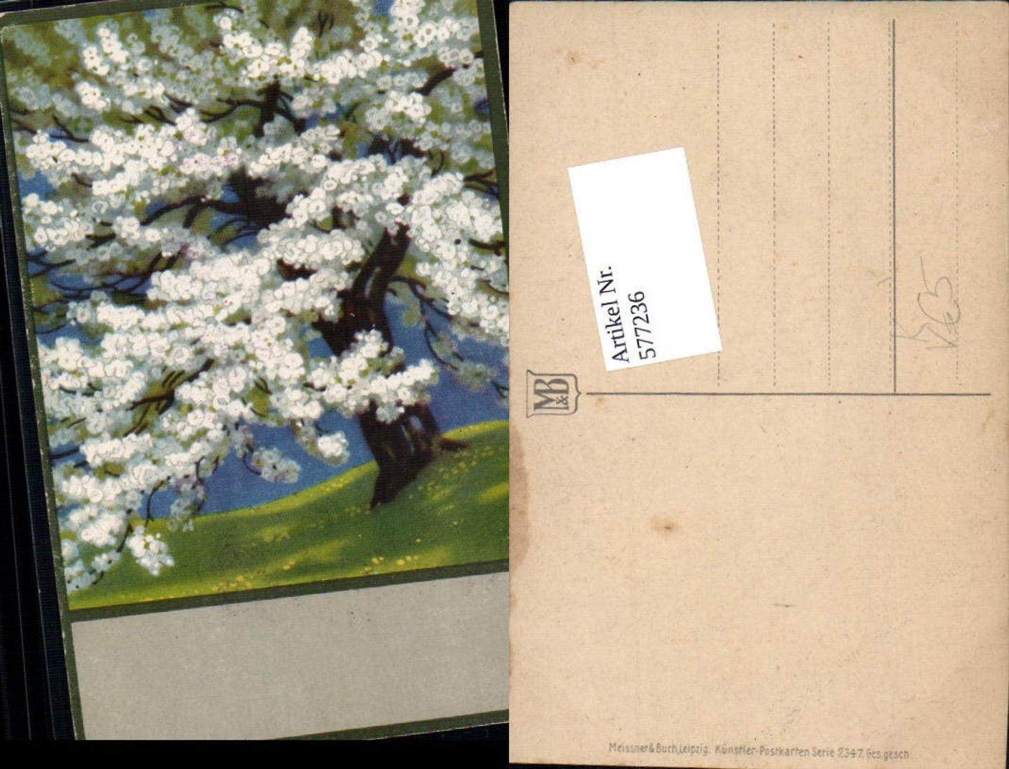 577236,Künstler AK Meissner & Buch 2347 Flieder Baum