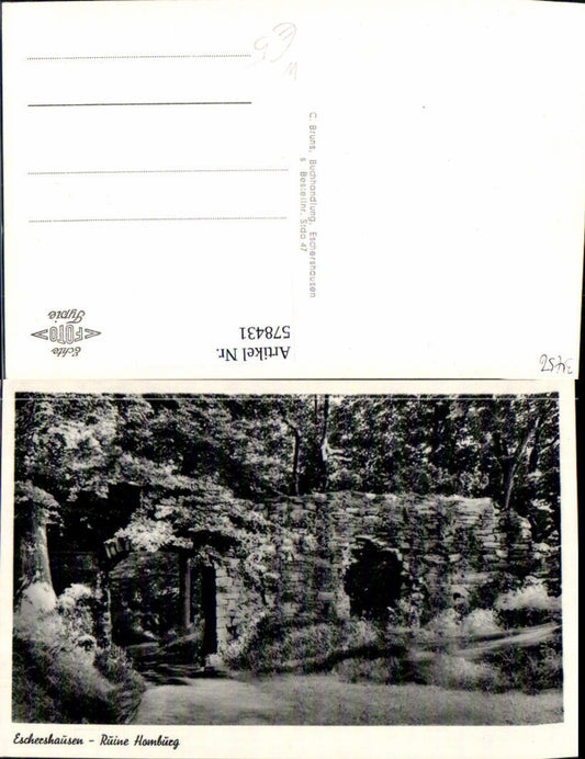 578431,Foto Ak Eschershausen Stadtoldendorf Ruine Homburg