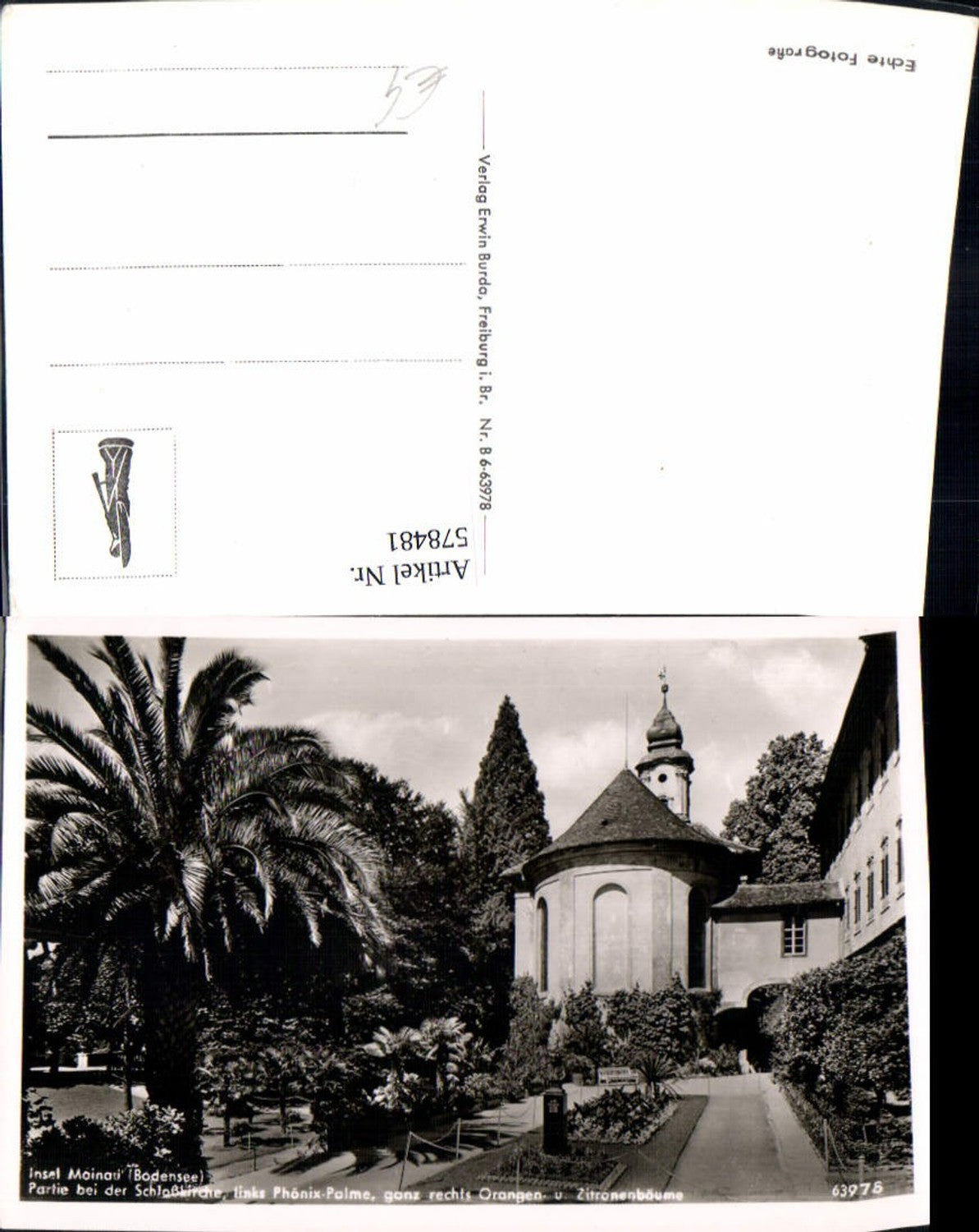 578481,Foto Ak Litzelstetten Konstanz Insel Mainau Bodensee Partie b. d. Schlosskirche Palmen