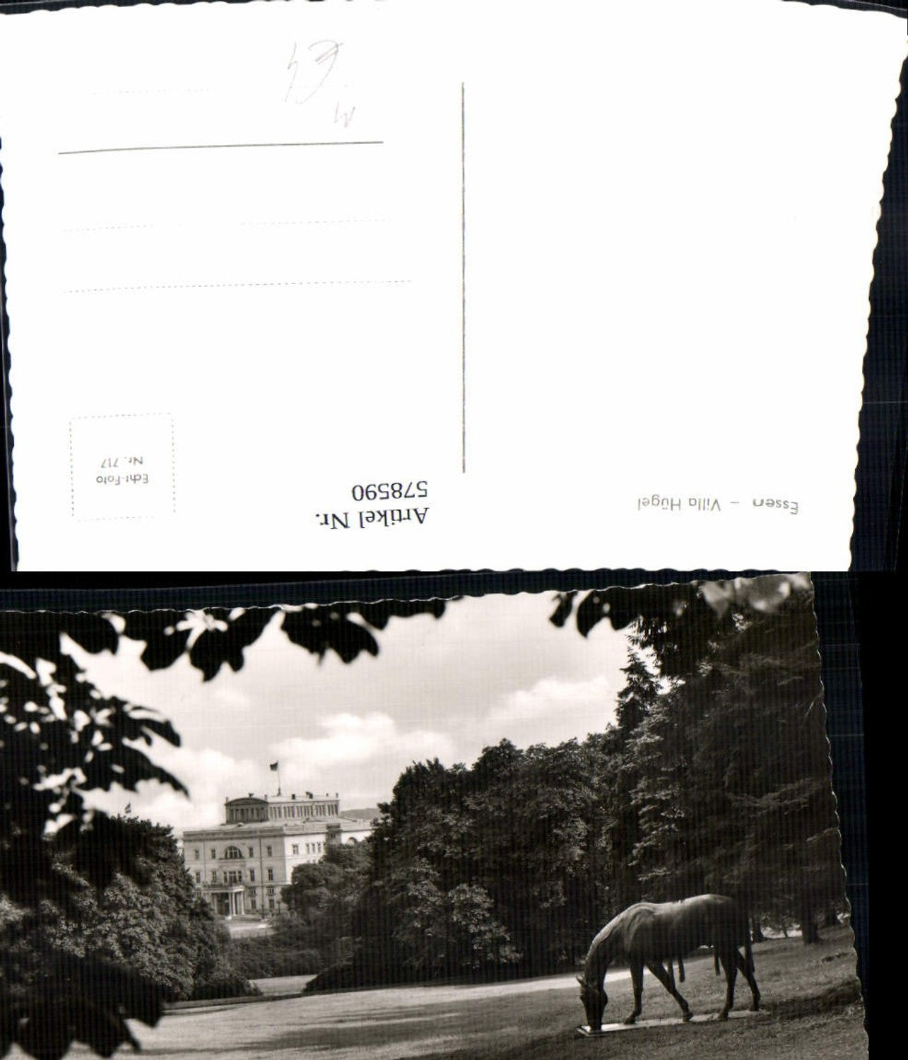 578590,Foto Ak Essen Villa Hügel Pferdedenkmal Skulptur Pferd