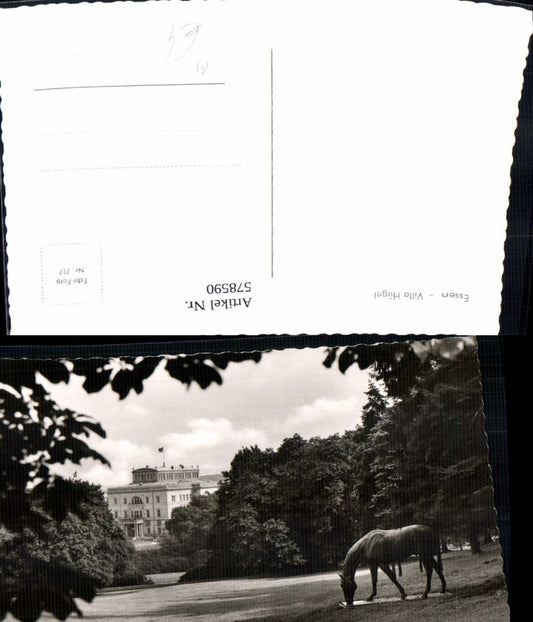 578590,Foto Ak Essen Villa Hügel Pferdedenkmal Skulptur Pferd