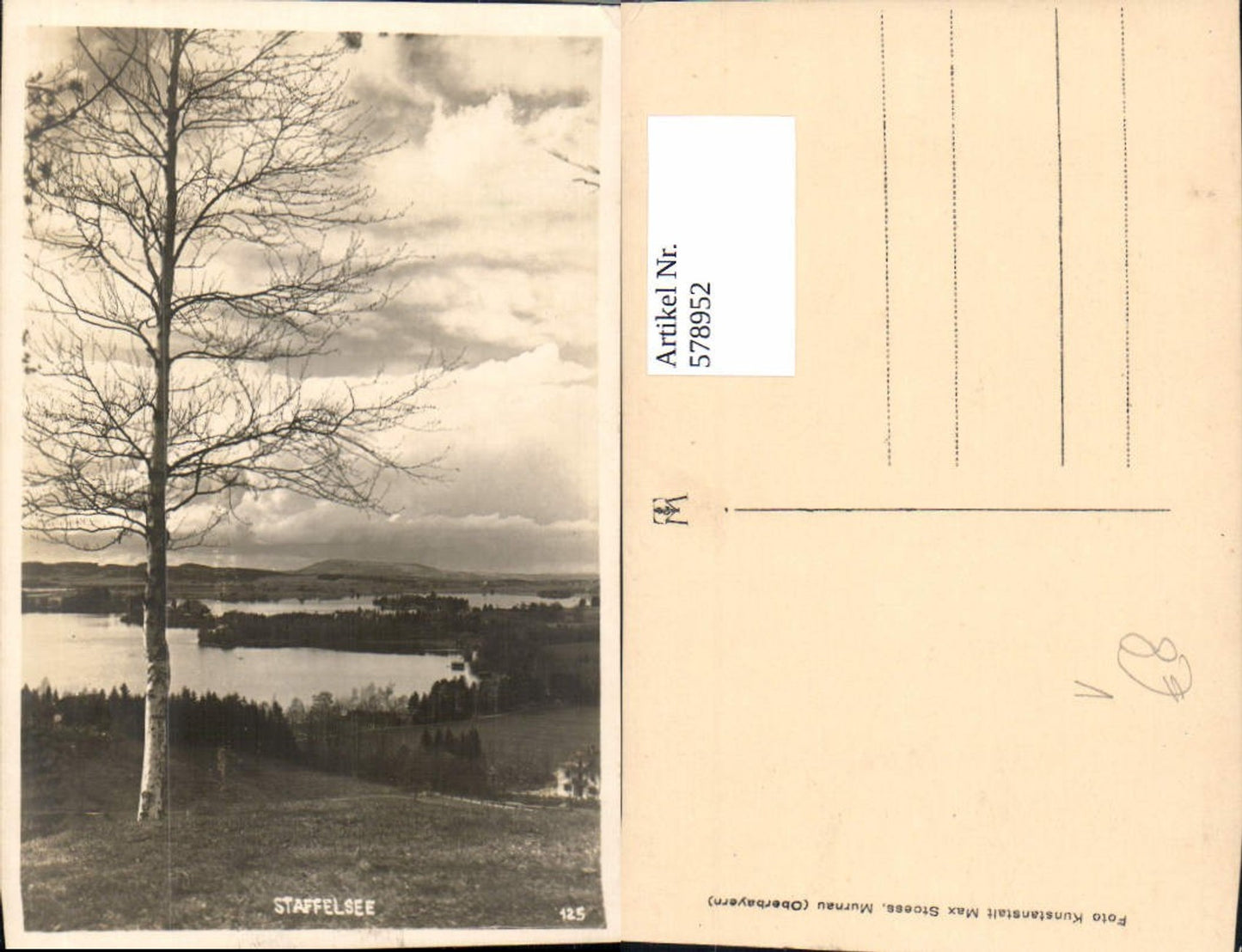 578952,Staffelsee Ansicht m. Birke Baum Seehausen Murnau pub Max Stoess 125