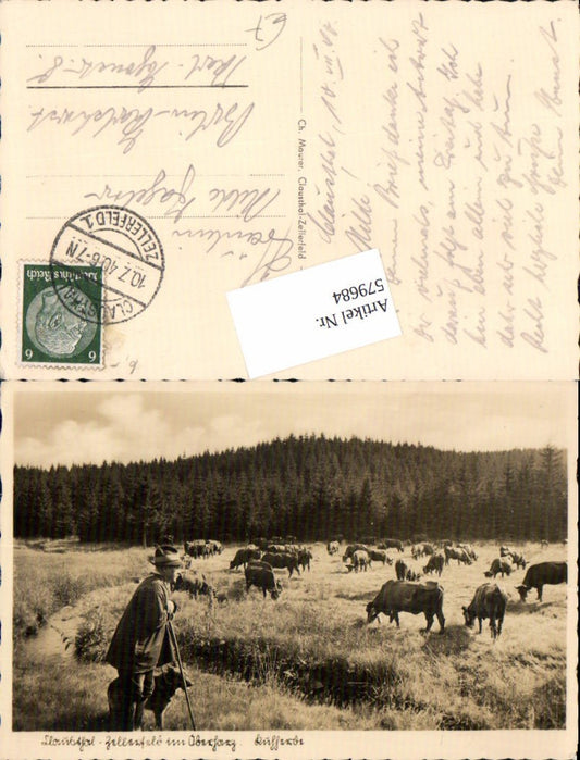 579684,Clausthal Zellerfeld Hirte Kuh Kühe Kuhherde LK Goslar
