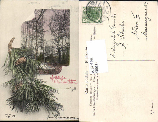 580111,Weihnachten Zweig Wald Bäume