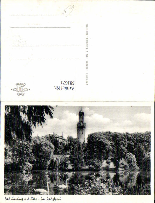 581671,Bad Homburg vor der Höhe Im Schloßpark Schwan Schwäne