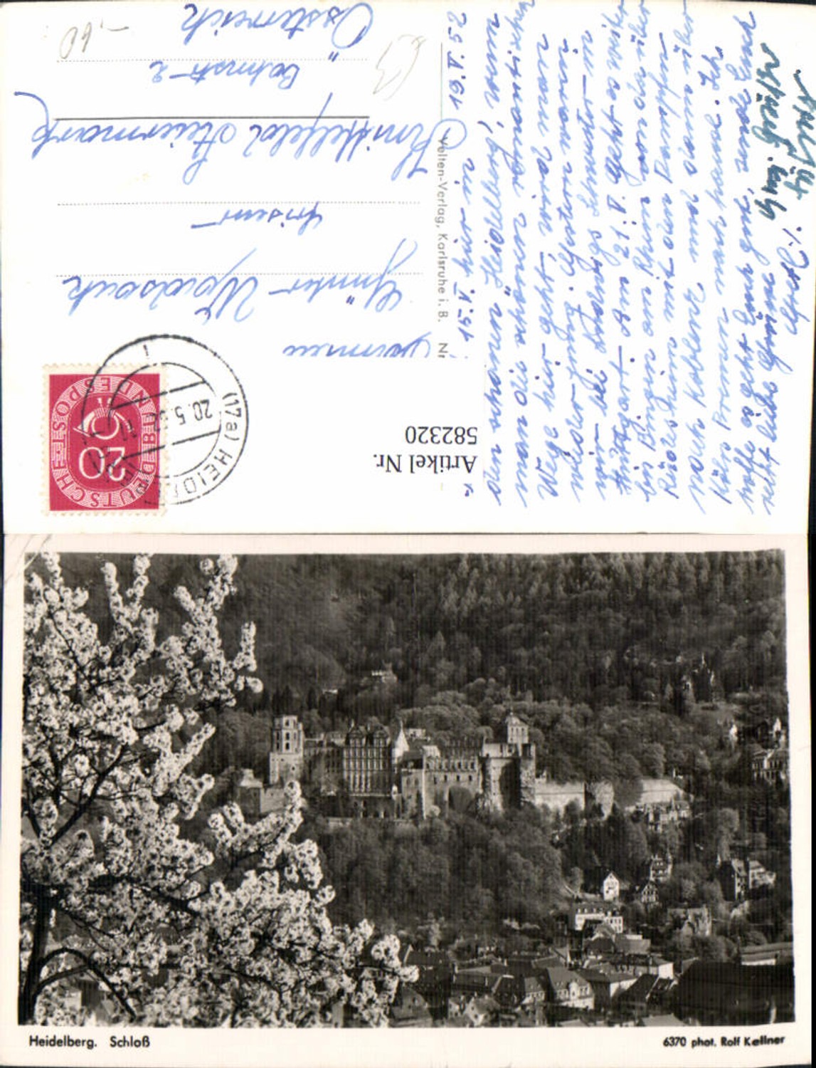 582320,Foto Ak Heidelberg Schloss Baumblüte i. Vordergrund