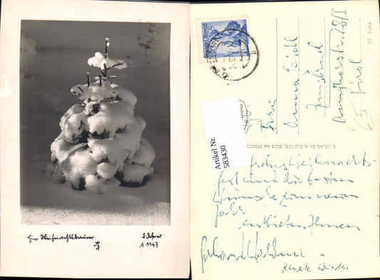 583430,Photo art Dr. Defner A 1147 Christmas tree