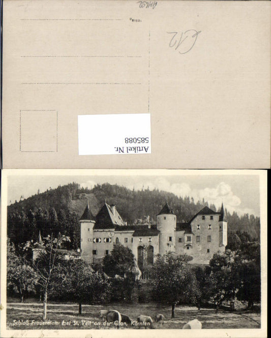 585088,Foto Ak Schloss Frauenstein b. St Veit a. d. Glan Pferde i. Vordergrund