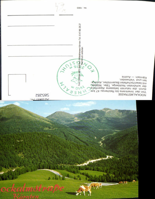 585282,Nockalmstraße Innerkrems bis Reichenau Kühe Rinder