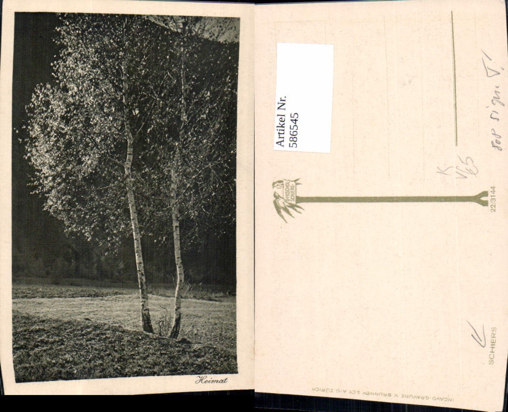 Alte Ansichtskarte – Old Postcard