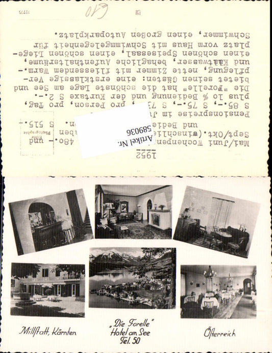 589036,tolle Foto-AK Millstatt am See Hotel am See Die Forelle