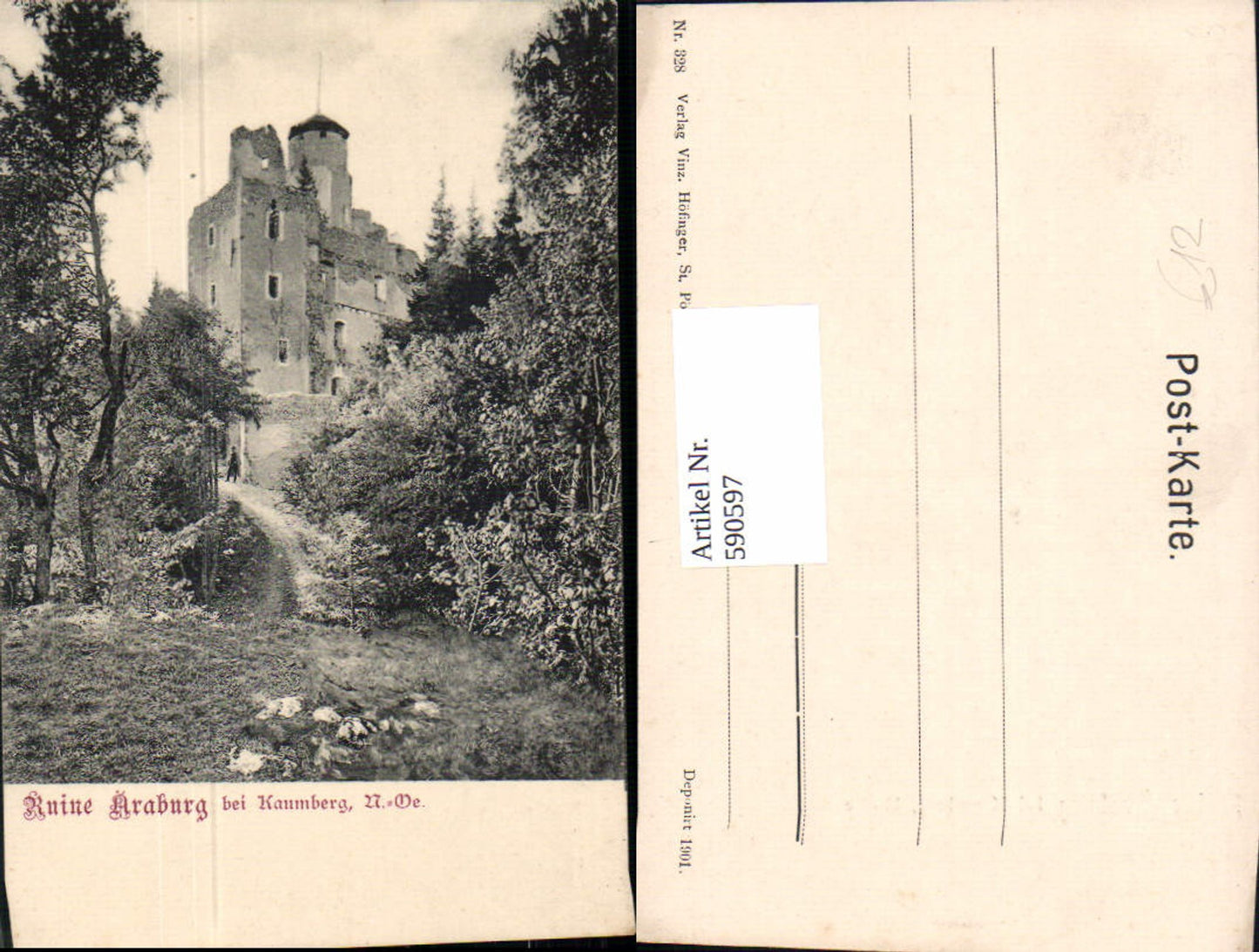 590597,Ruine Araburg b. Kaumberg