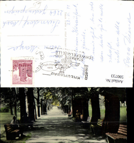 590733,Foto Ak Bad Deutsch-Altenburg Kurpark Allee