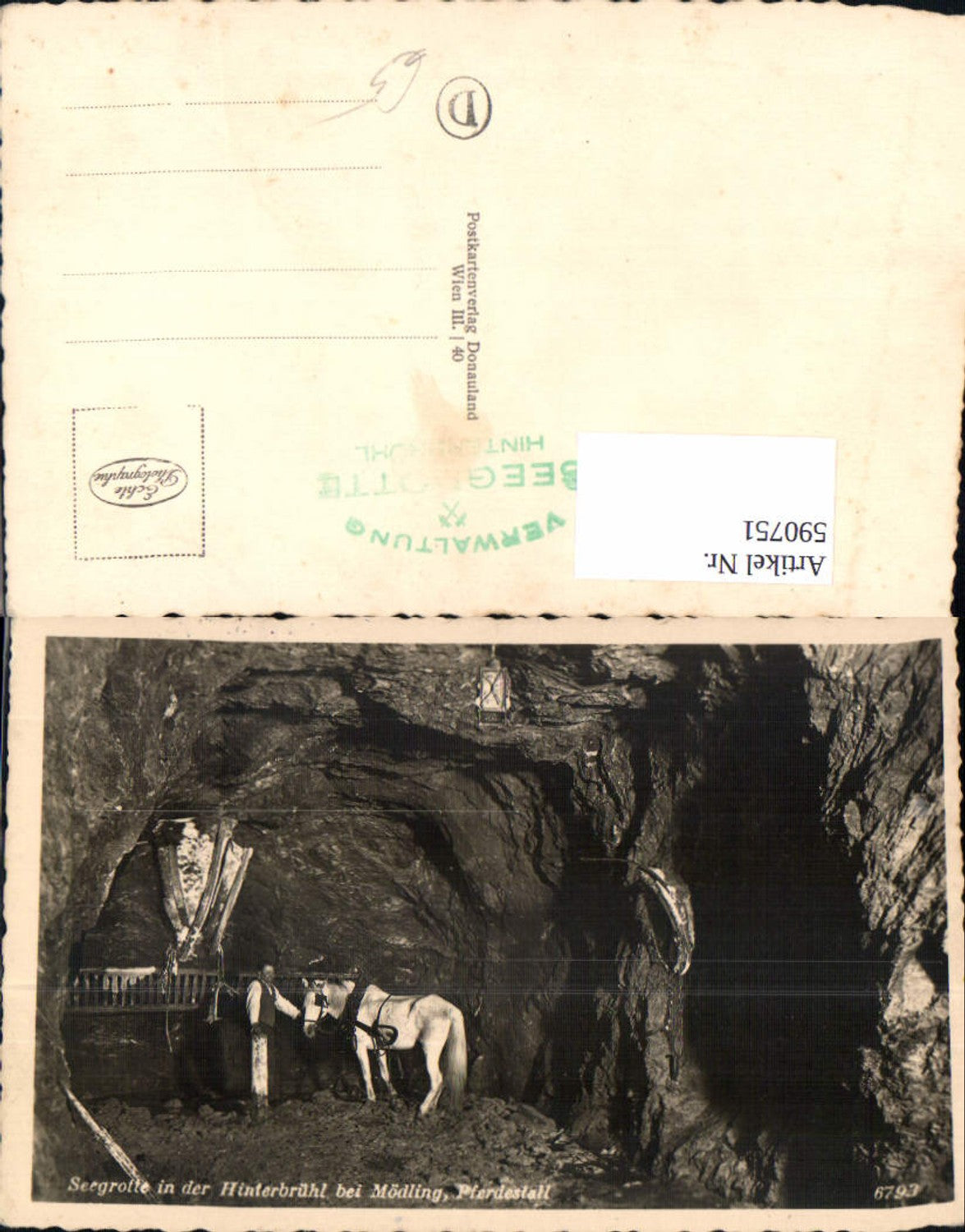 590751,Foto Ak Seegrotte Hinterbrühl b. Mödling Pferd