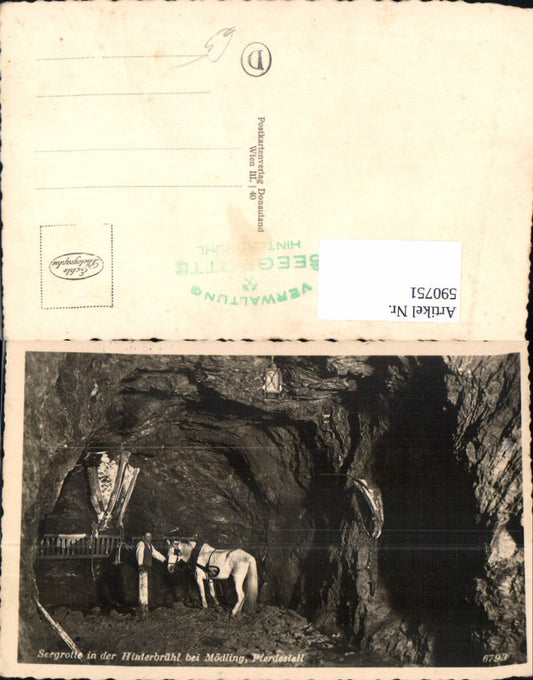 590751,Foto Ak Seegrotte Hinterbrühl b. Mödling Pferd