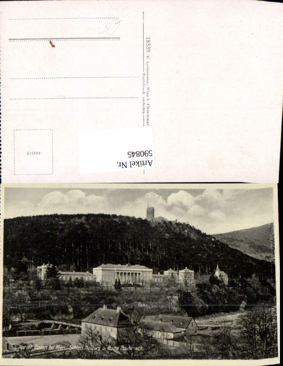 590845,Kurort Baden b. Wien Schloss Weilburg u. Ruine Rauheneck