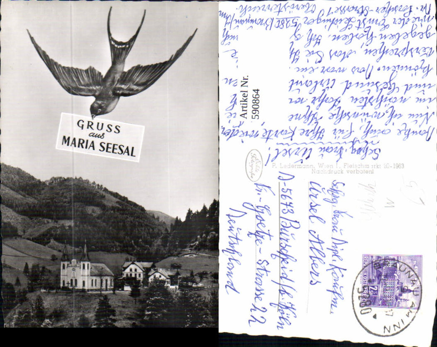 590864,Fotomontage Maria Seesal Schwalbe Vogel Ybbsitz