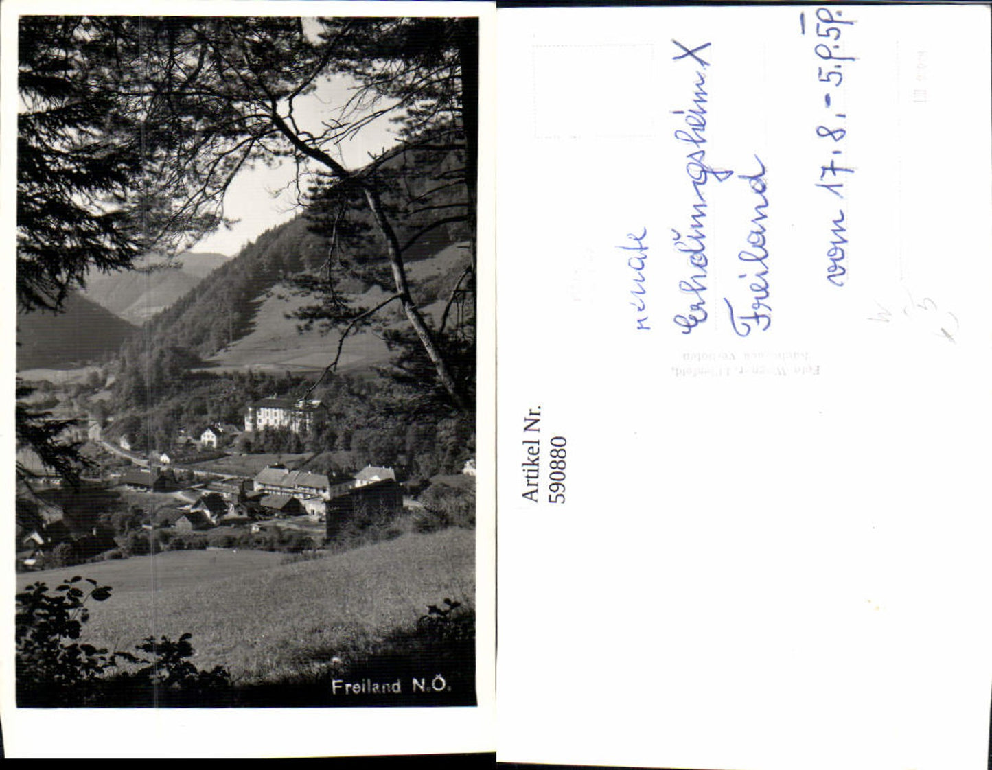 590880,Foto Ak Freiland Gemeinde Türnitz Ansicht