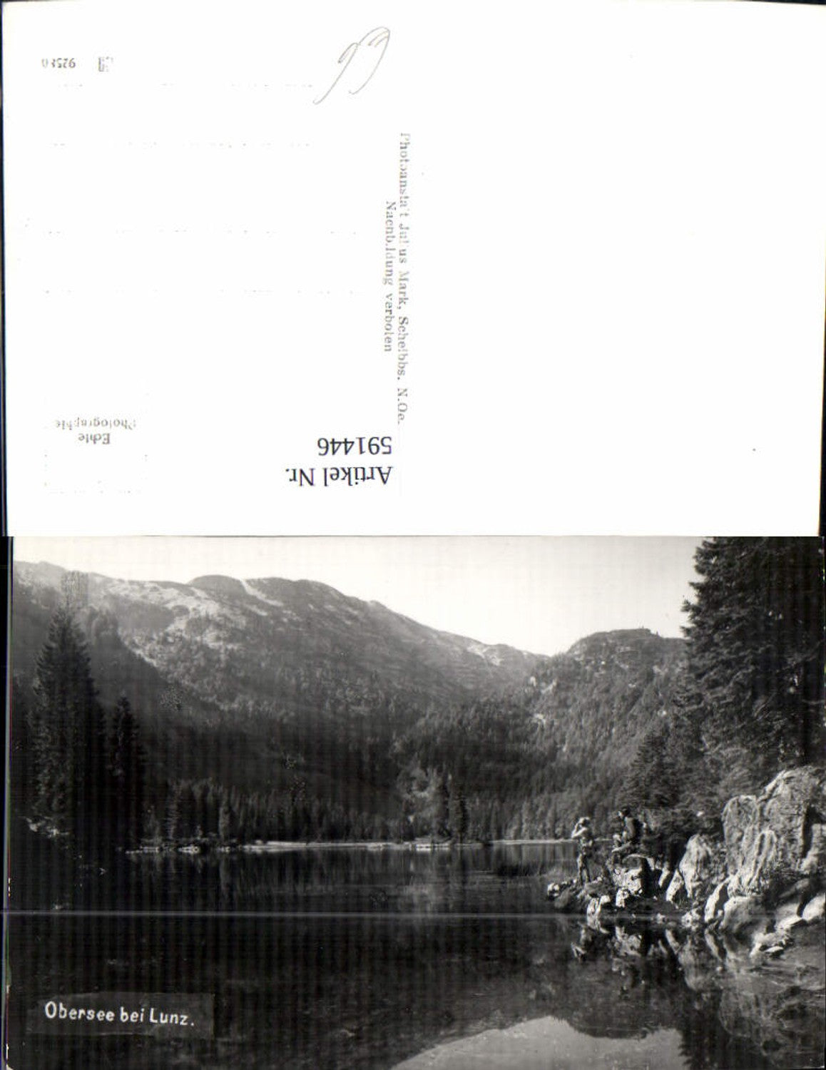 591446,Foto Ak Obersee b. Lunz Lunz a. See