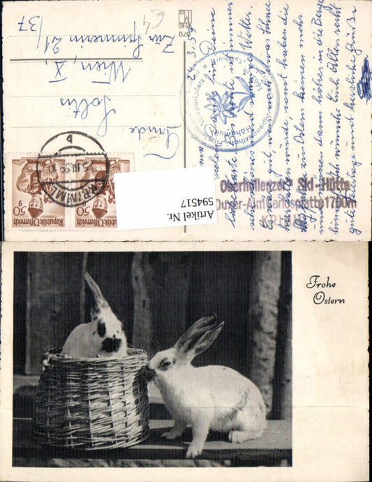 594517, Photo Easter Bunny Rabbit Basket