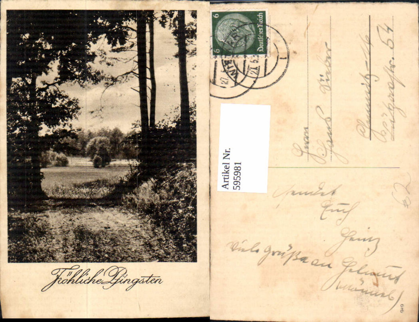 595981, Pentecost Landscape Forest Trees