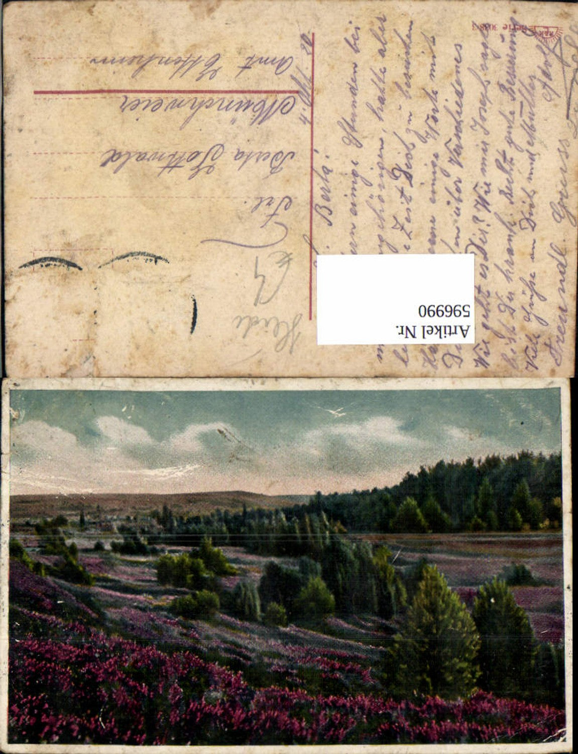 596990,Künstler Ak Heide Heidelandschaft