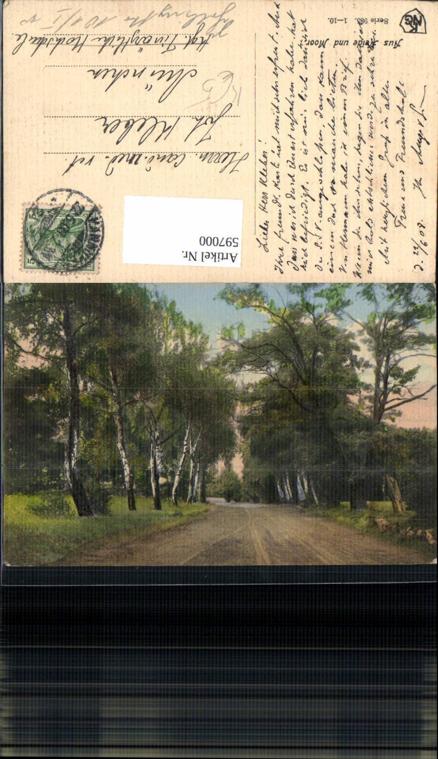 597000,Künstler Ak Aus Heide u. Moor Birken Bäume Allee Landschaft