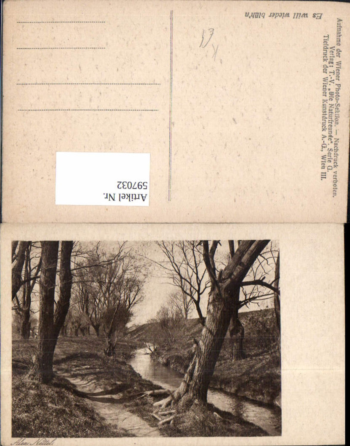 597032,Künstler Ak Es will wieder blühn Bäume Ufer Landschaft Wiener Photo-Sektion