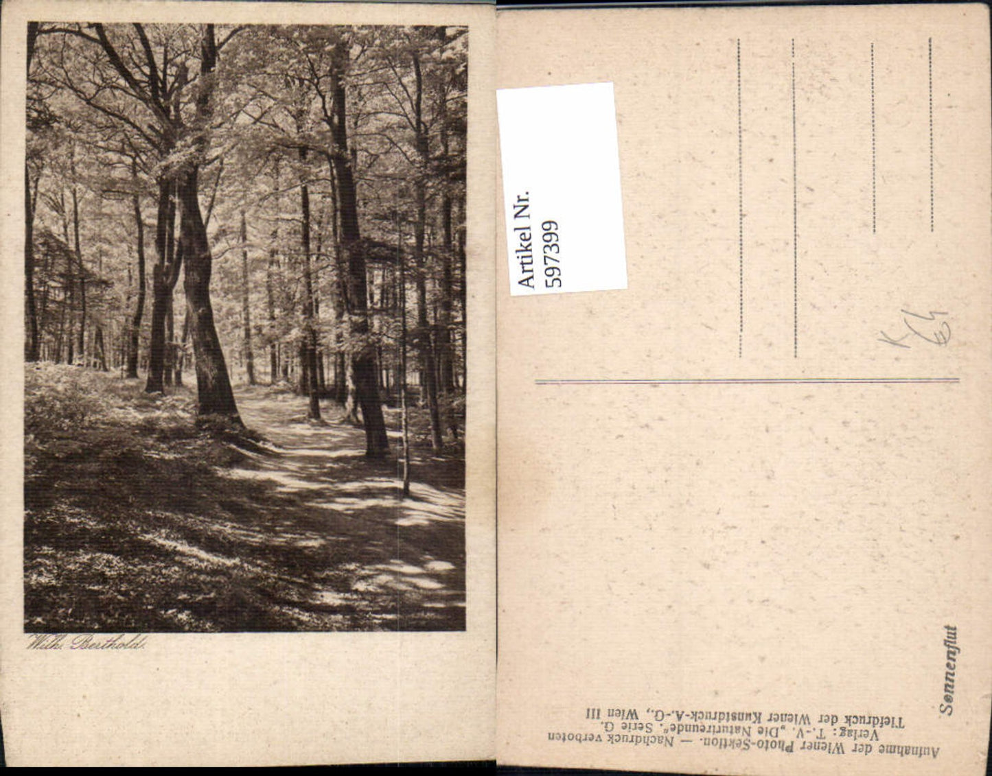 597399,Künstler Ak Wilh. Berthold Bäume Wald Landschaft Sonnenflut