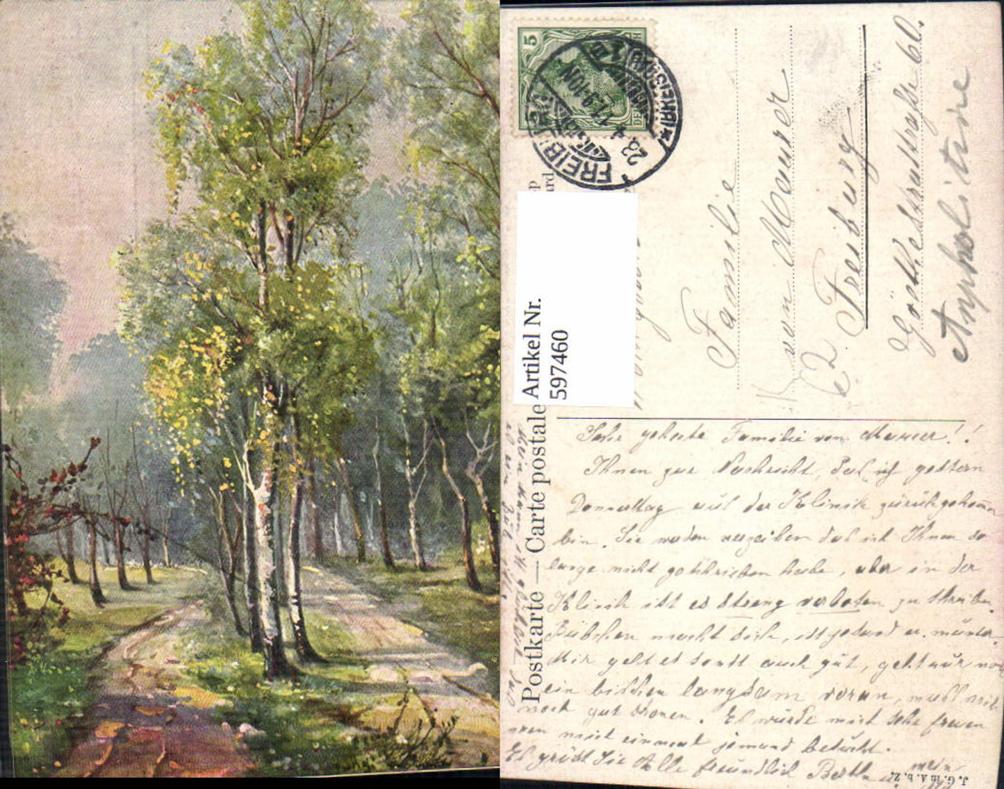597460,Künstler Ak A. Jung Birken Allee Bäume Landschaft