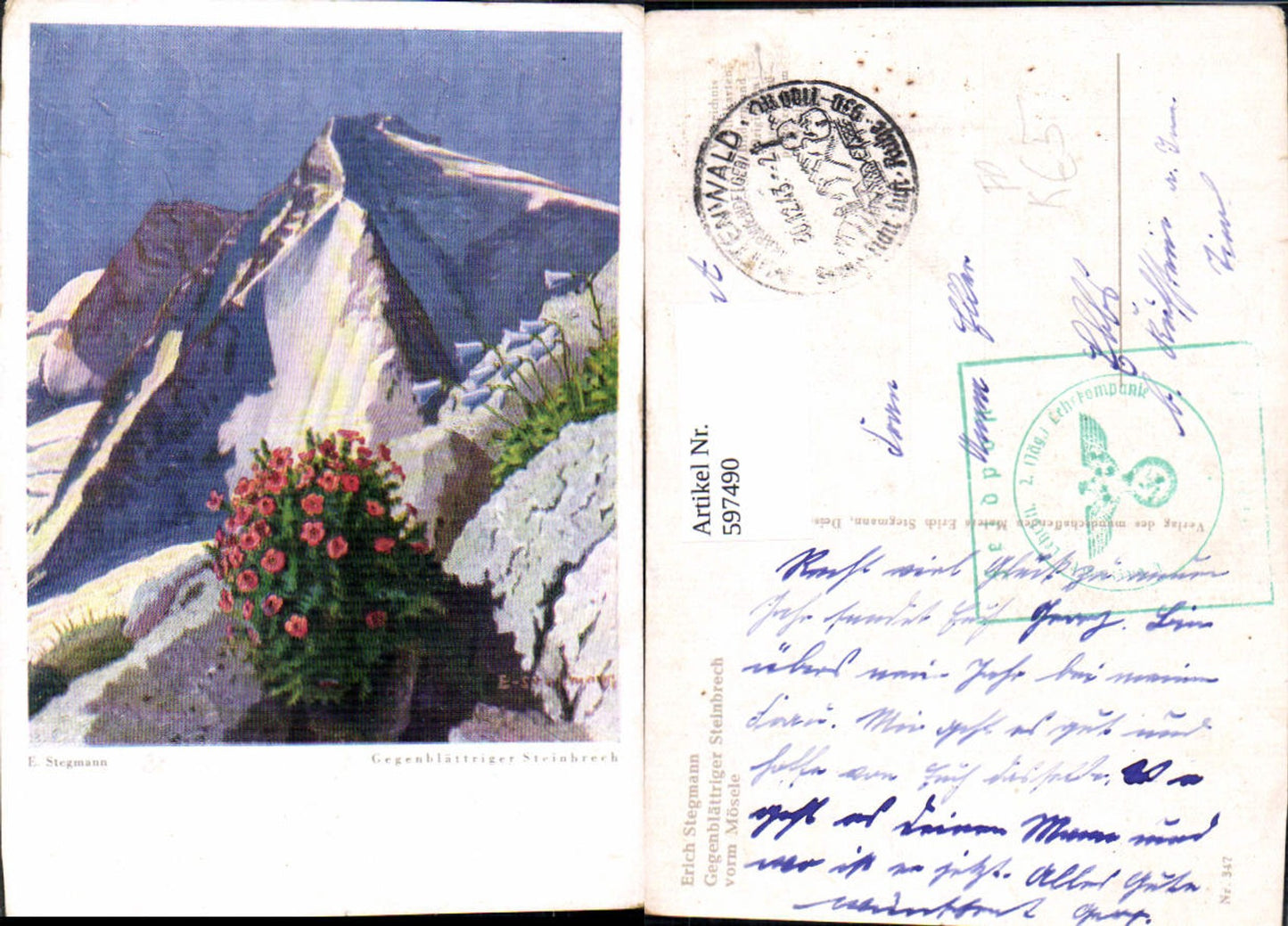 597490,Künstler Ak E. Stegmann Gegenblättriger Steinbrech Flora Blumen Feldpost 2. Jäger Lehrkompanie